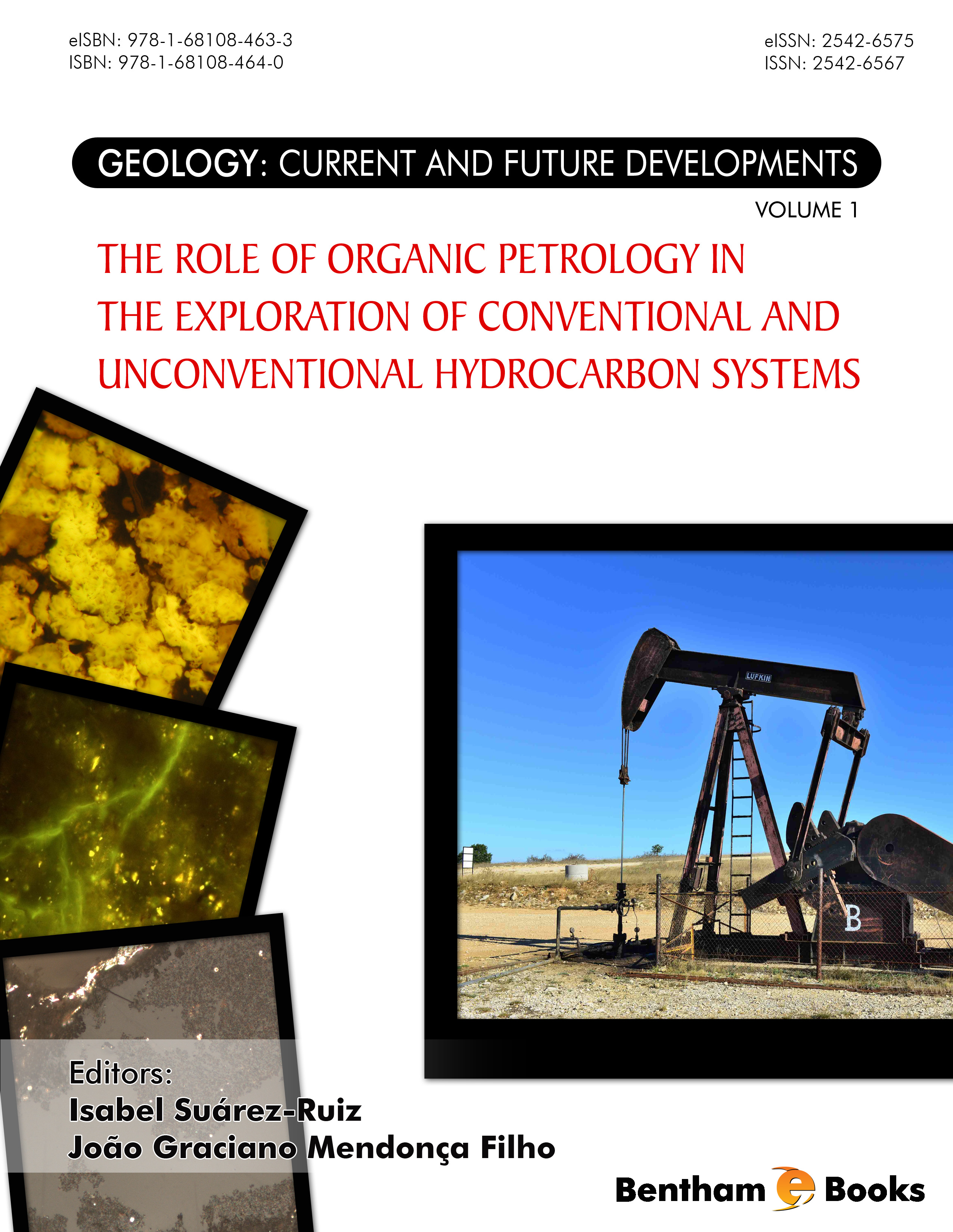 image of The Role of Organic Petrology in the Exploration of Conventional and Unconventional Hydrocarbon Systems