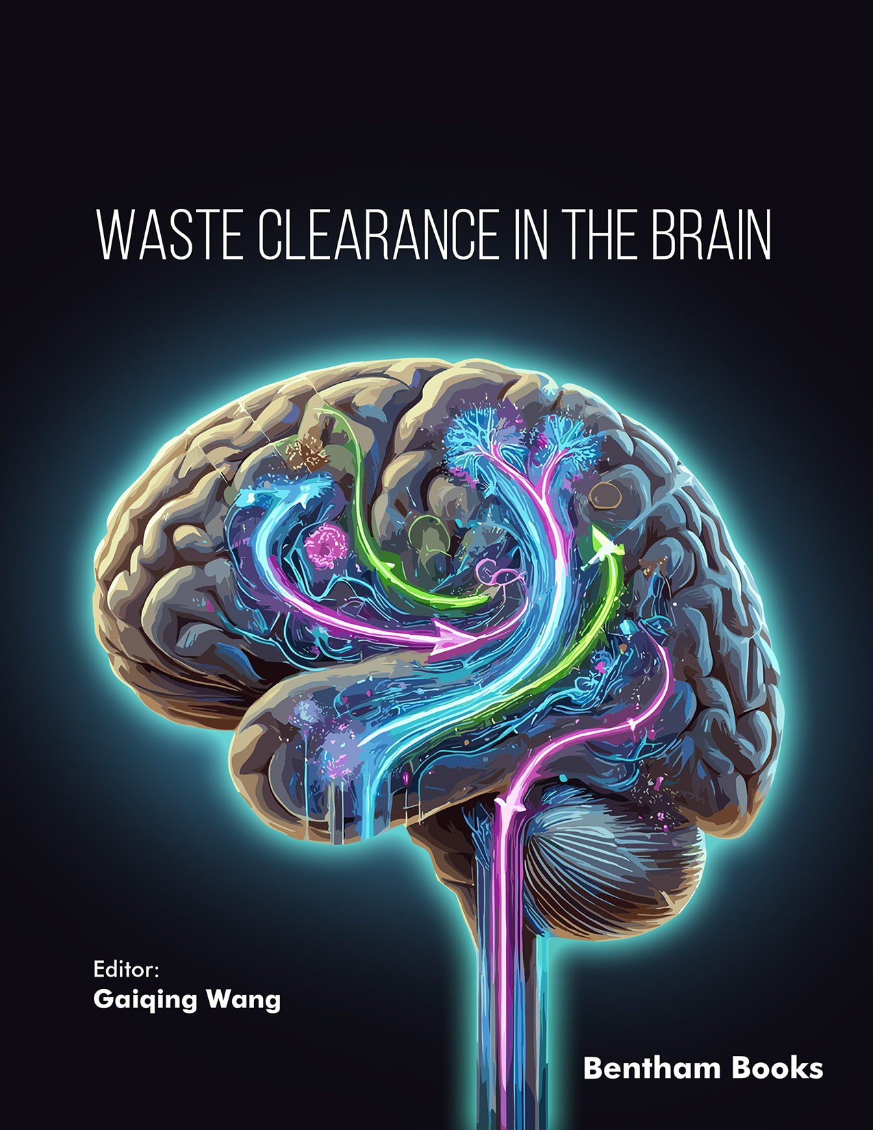 Waste Clearance in the Brain